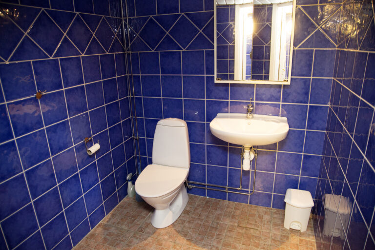 Bathroom with a basin and a toilet.