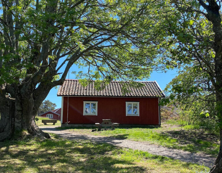 Röd stuga vid träd/red cottage under a tree