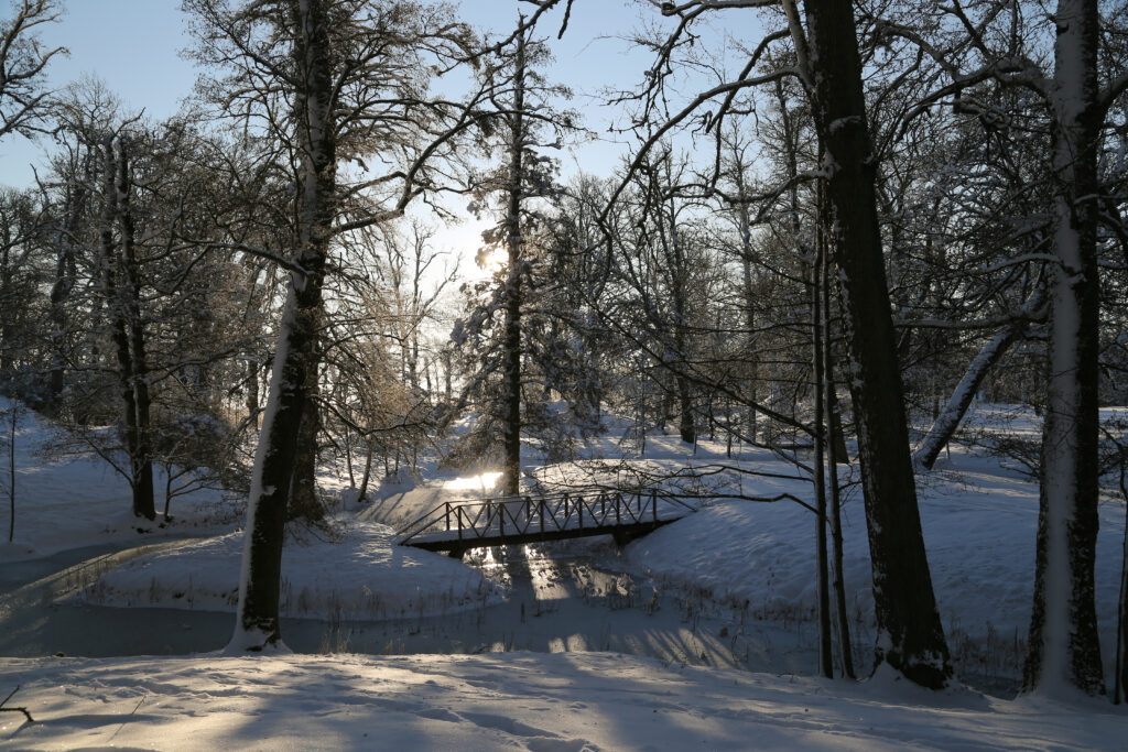 Vinter i Tullgarns slottspark