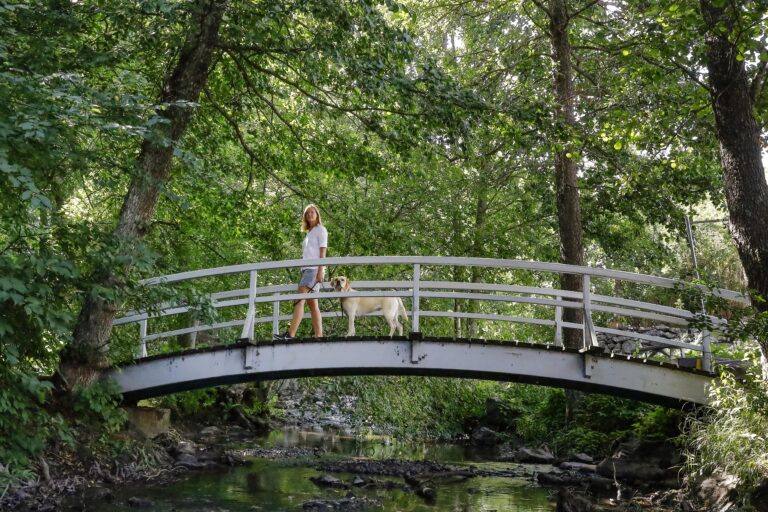 Kvinna och hund på en bro.