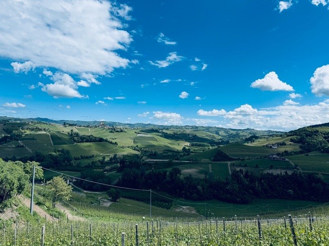 Gröna slätter och blå himmel