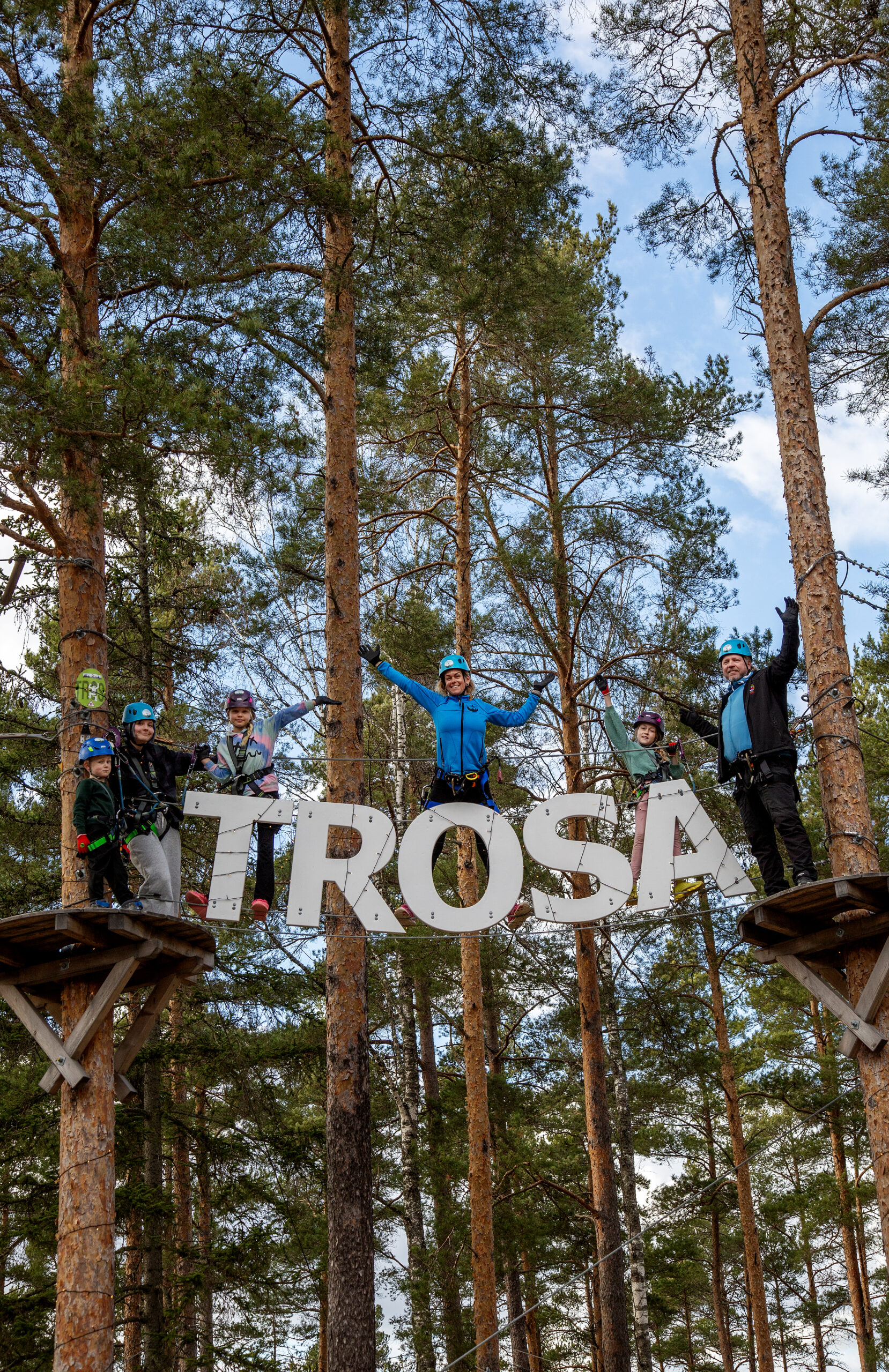 Personer på avsats uppe i träd