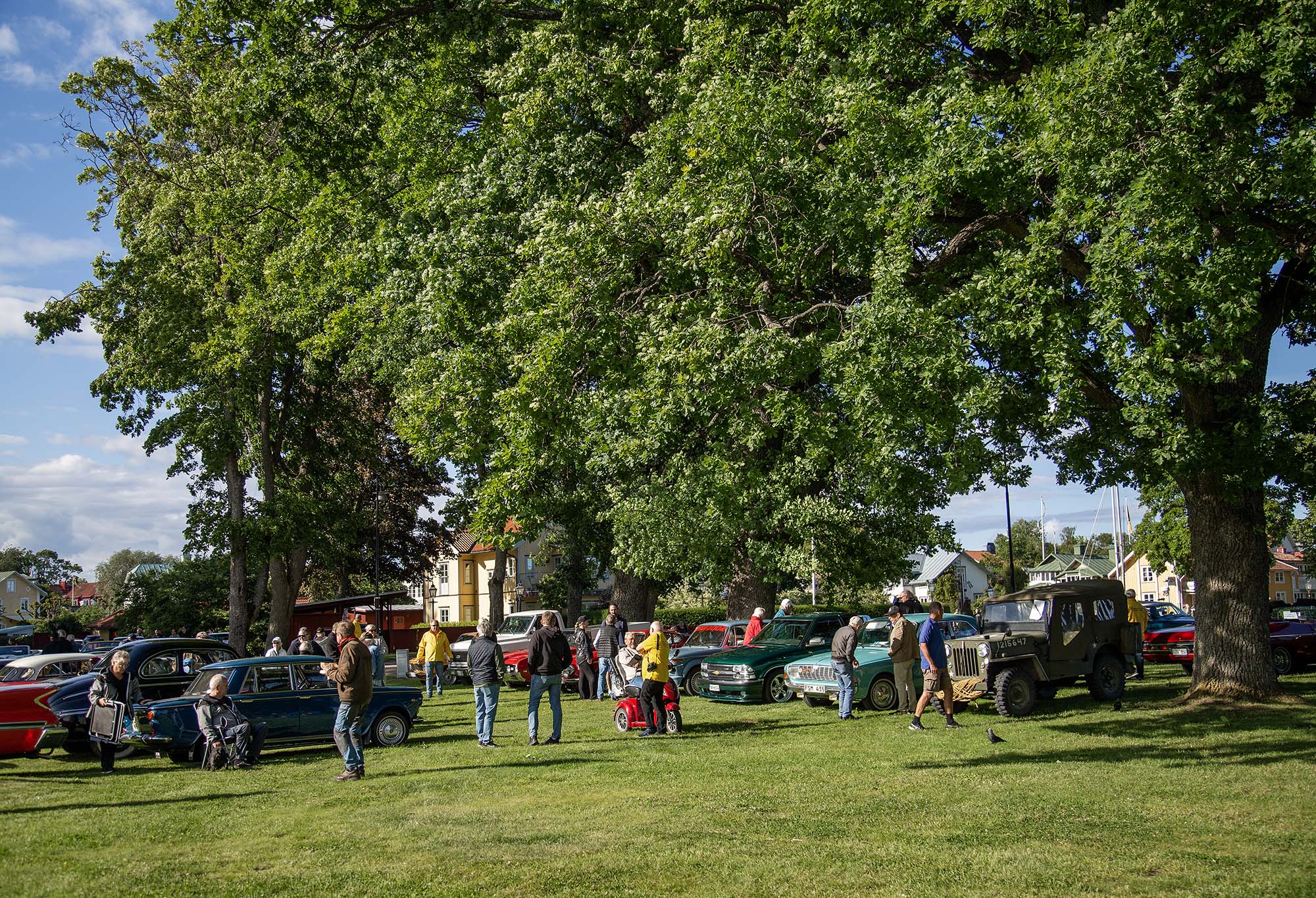 Bilar och människor på gräsplan