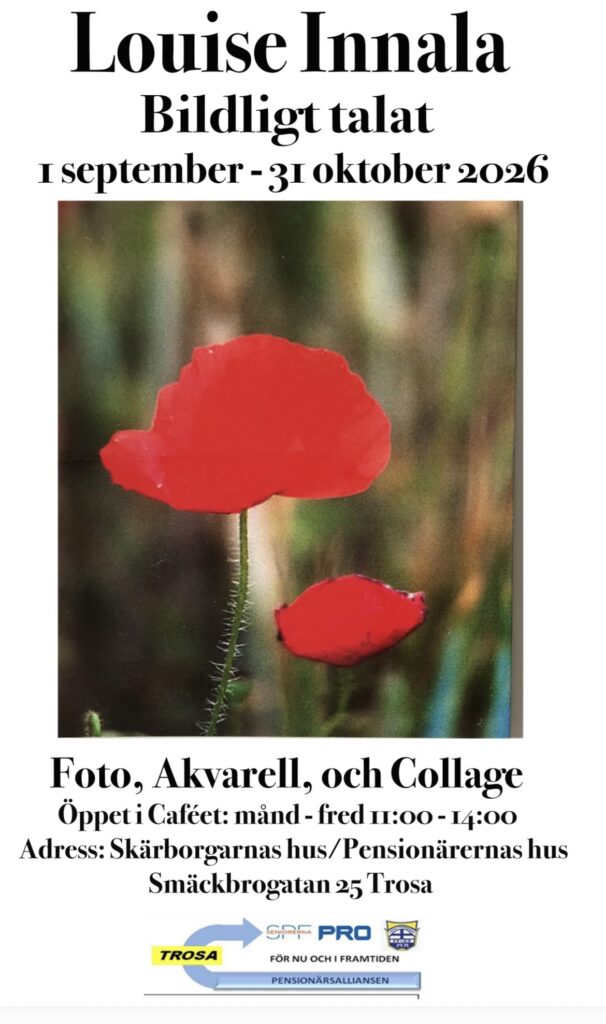 Målad röd blomma